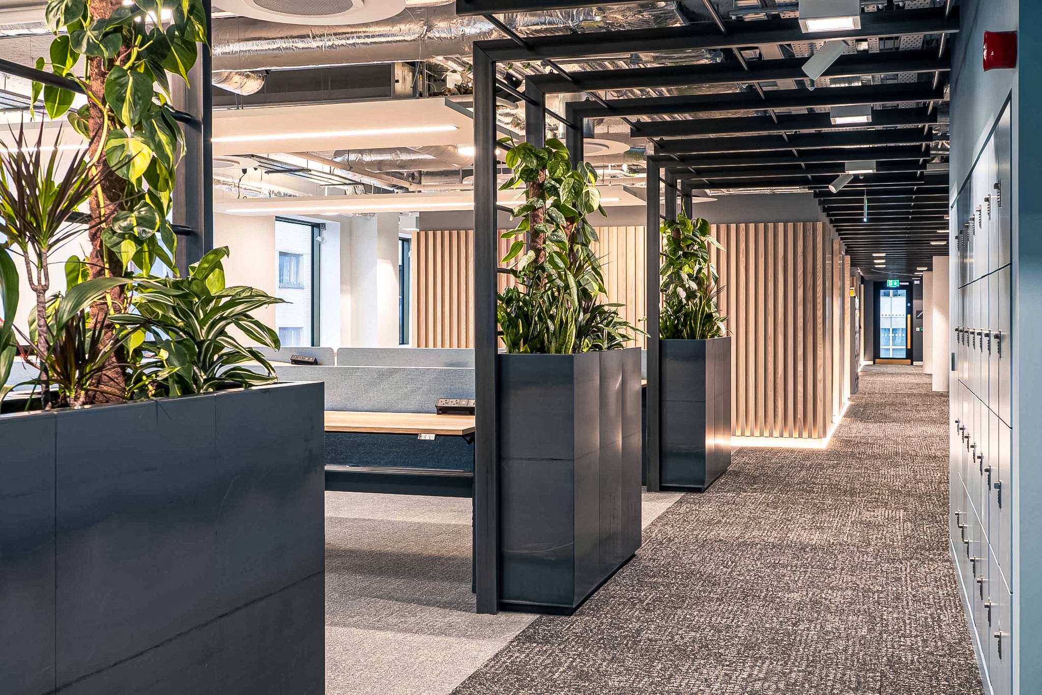 Luxury kitchen installation with specialist finishing